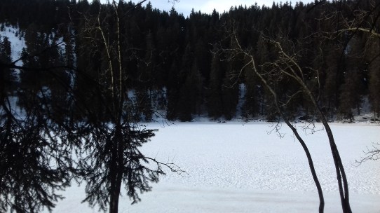 20170127_144155