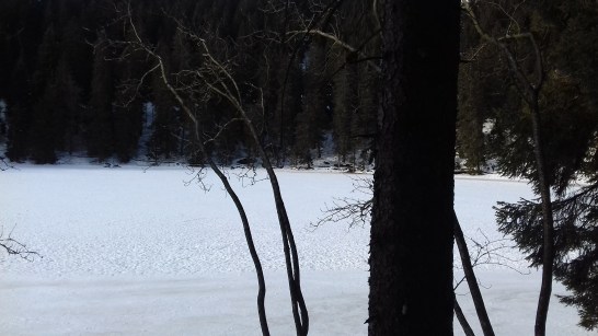 20170127_144158