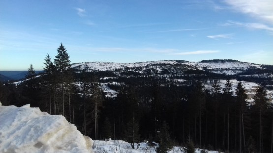 20170127_145455.jpg