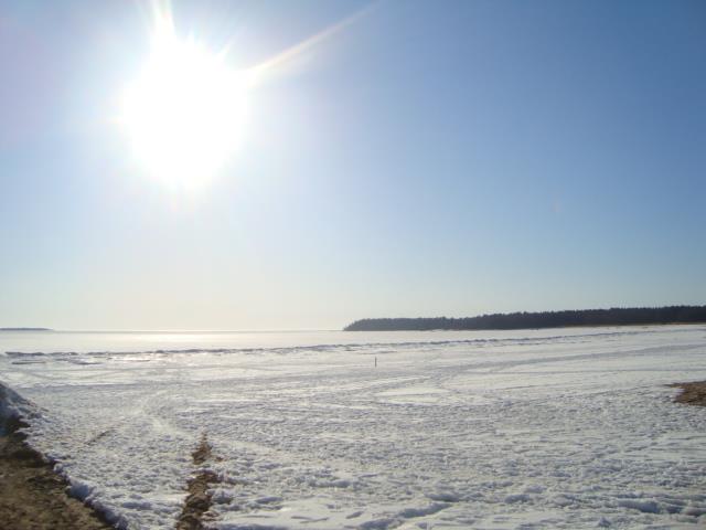 532022_10200245140963939_951803007_n