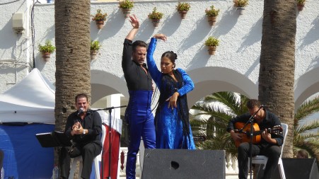 flamenco-1924139_1920.jpg