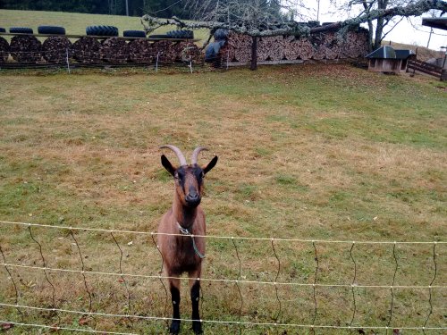 CameraZOOM-20161106120018564