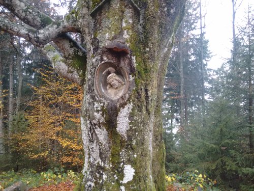 CameraZOOM-20161106124356096