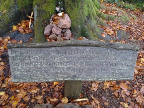 CameraZOOM-20161106124425270