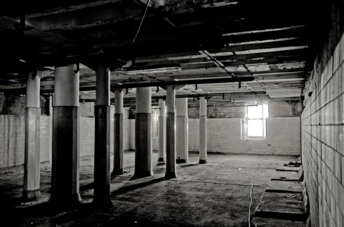 _DSC5307_DxO_jpg (Large)