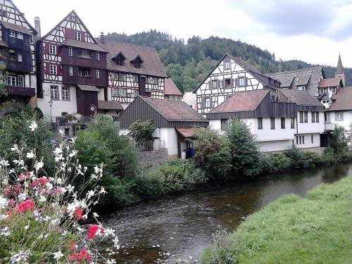 12166175_10206511930989773_1810107350_n